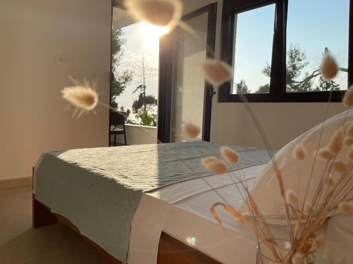 Zia Apartments بار المظهر الخارجي الصورة