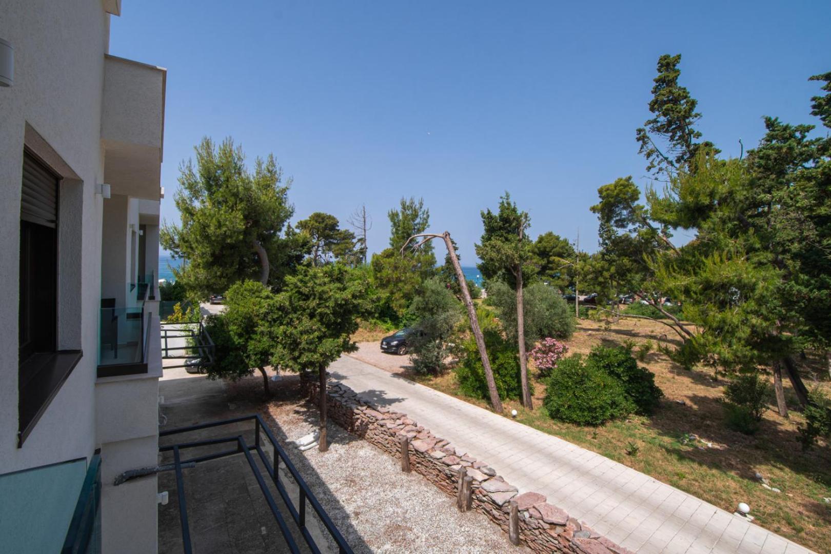 Zia Apartments بار الغرفة الصورة